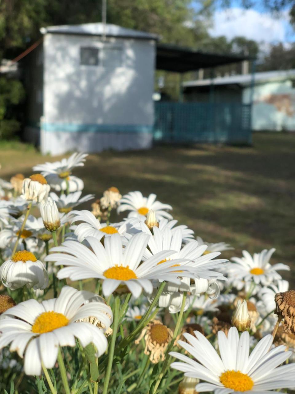 Lazy Days Caravan Park Vasse Екстериор снимка